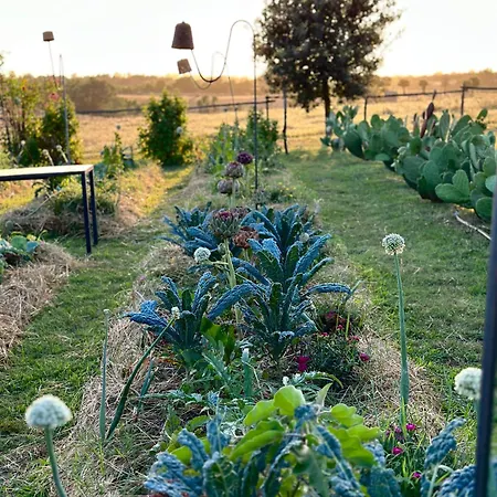 Farm stay Tenuta Di Paternostro *