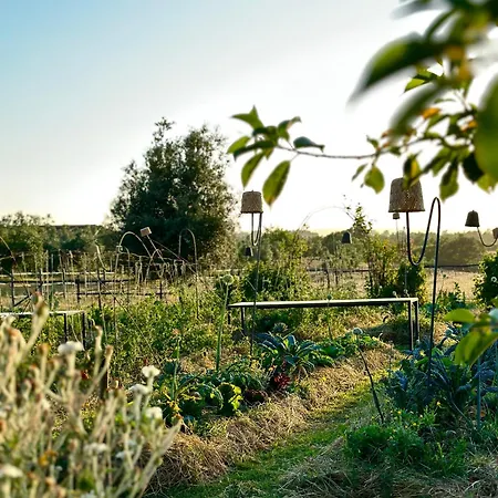 Tenuta Di Paternostro