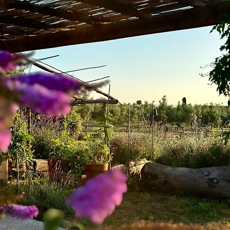 Tenuta Di Paternostro *