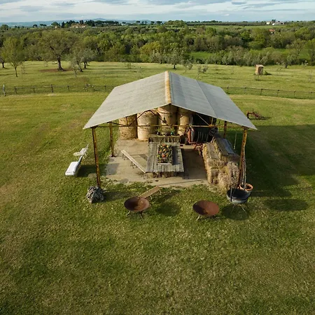 Tenuta Di Paternostro * Vetralla