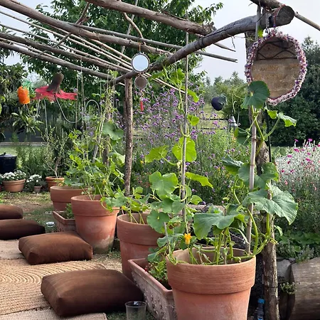 Tenuta Di Paternostro Farm stay