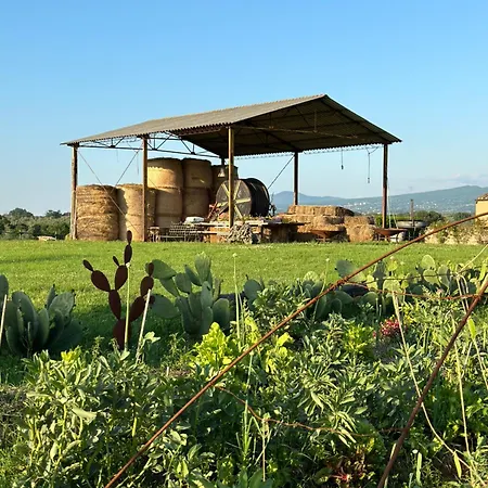 Farm stay Tenuta Di Paternostro *