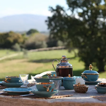 Farm stay Tenuta Di Paternostro Vetralla
